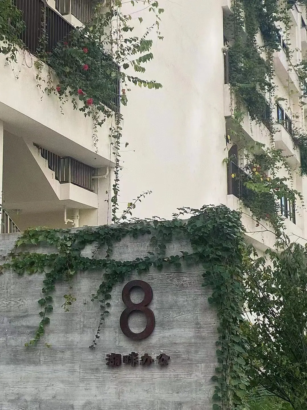 3406439641.jpg
