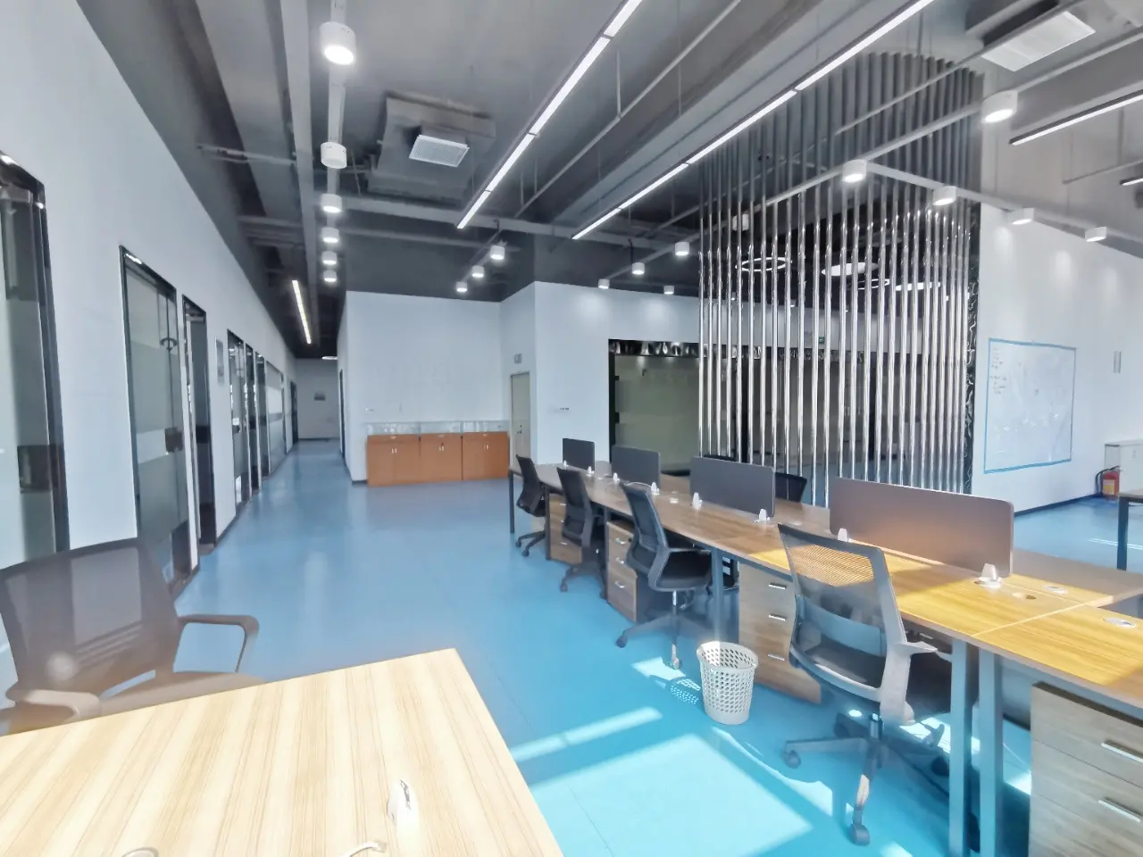 2172546916.jpg