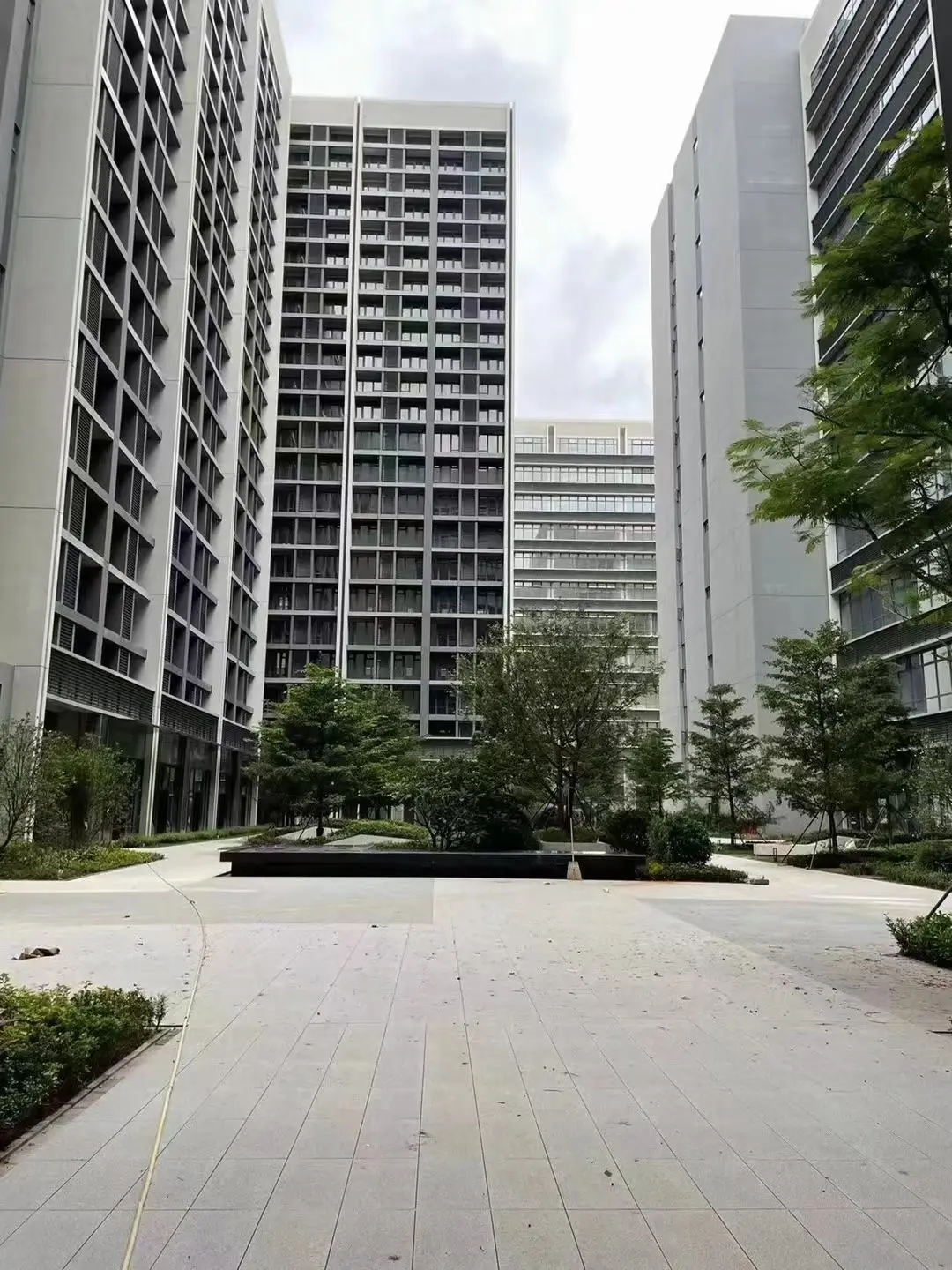 3541083072.jpg