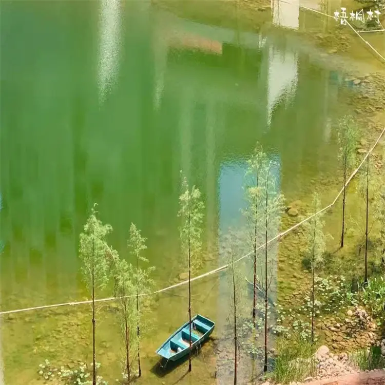 2359861462.jpg