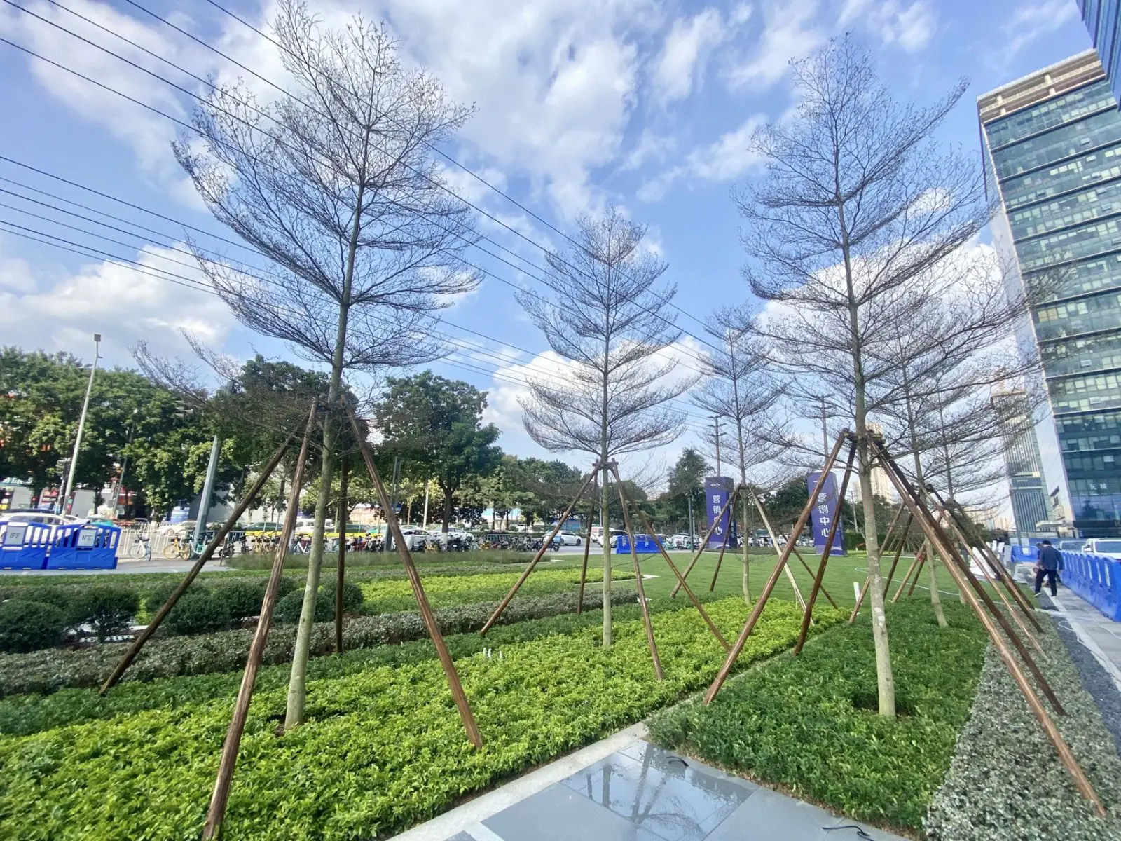 1995473341.jpg
