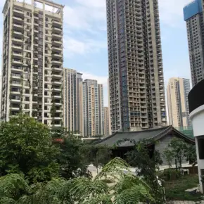 深圳市泰华·梧桐村 物业招商 租赁中心 宝安区写字楼出租