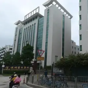 深圳市霸王钟表工业城 物业招商 租赁中心 宝安区厂房仓库出租