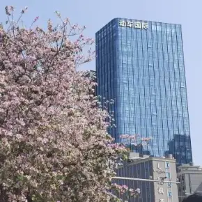 深圳市动车国际大厦 物业招商 租赁中心 龙岗区写字楼办公室出租