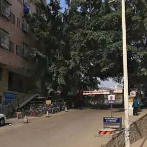 深圳市水田第二工业区 物业招商 租赁中心 宝安区厂房仓库出租