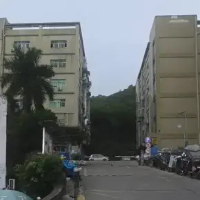 深圳市细靓工业区 物业招商 租赁中心 龙岗区厂房仓库出租