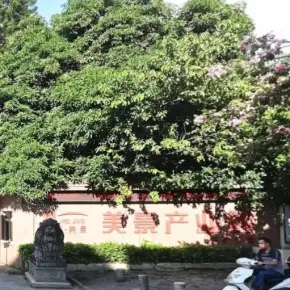 深圳市美景科技园 物业招商 租赁中心 光明区厂房仓库出租