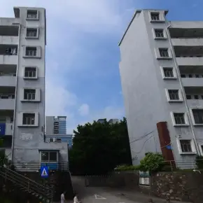 深圳市外经工业区 物业招商 租赁中心 龙岗区厂房仓库出租