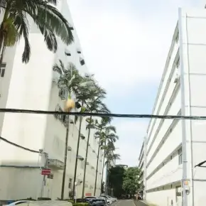 深圳市宝利源工业区 物业招商 租赁中心 龙岗区厂房仓库出租