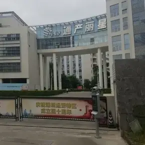 深圳市通产丽星新材料工业园 物业招商 租赁中心 龙岗区厂房仓库出租