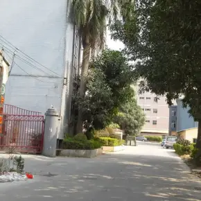 深圳市木棉坑工业区 物业招商 租赁中心 南山区厂房仓库出租