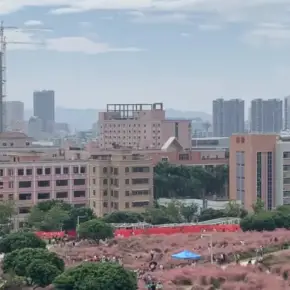 深圳市红花山工业区 物业招商 租赁中心 光明区产业园厂房出租