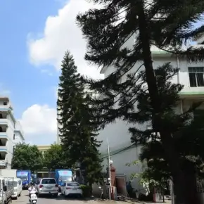深圳市皇廷电商科技园 物业招商 租赁中心 龙华区创意园办公室出租