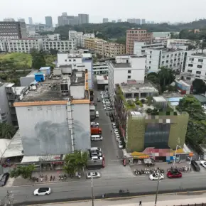 深圳市龙岗区平湖街道 独门独院厂房