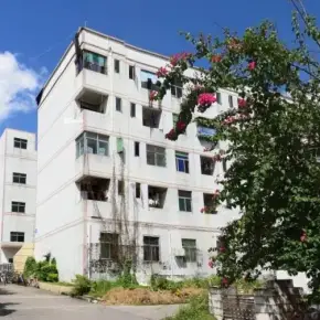 深圳市腾龙工业区 物业招商 租赁中心 龙华区厂房仓库出租