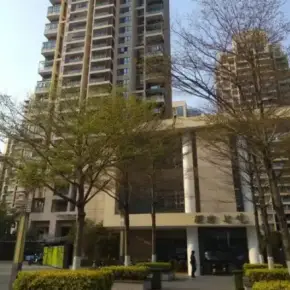 深圳市振业城综合大厦 物业招商 租赁中心 龙岗区商业裙楼办公室出租