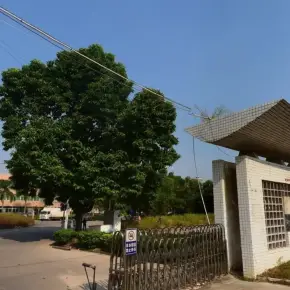深圳市金鹏数字产业园 物业招商 租赁中心 龙岗区写字楼厂房出租