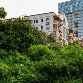 深圳神彩苑 物业招商 租赁中心 福田区写字楼出租