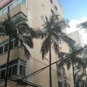深圳市万成祥大厦 物业招商 租赁中心 龙岗区厂房仓库出租