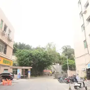 深圳市新大工业园 物业招商 租赁中心 宝安区厂房 仓库出租