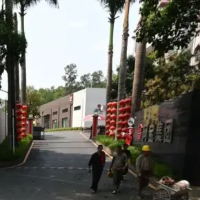 深圳市阿宝艺术产业园 物业招商 租赁中心 龙华区厂房仓库出租