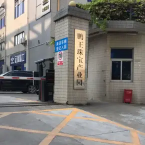 深圳市鹏王珠宝产业园 物业招商 租赁中心 龙岗区厂房仓库出租