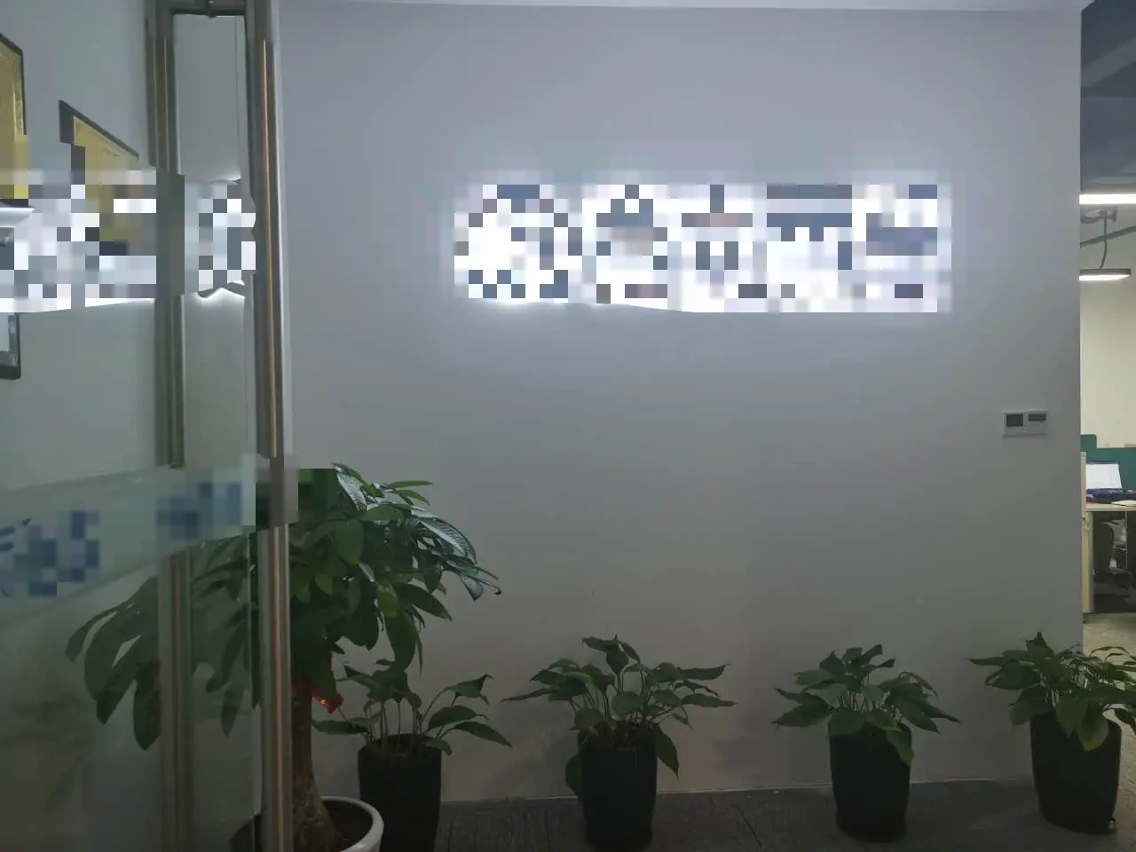 3666910590.jpg